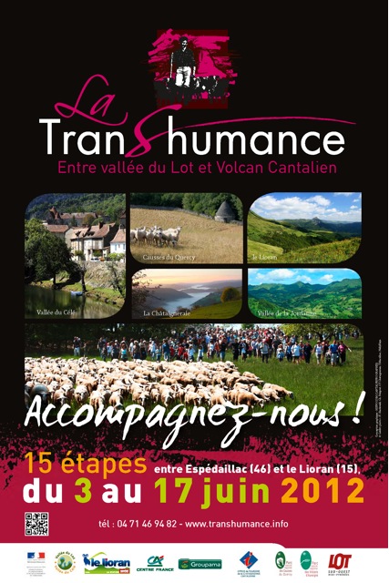 Transhumance mouton