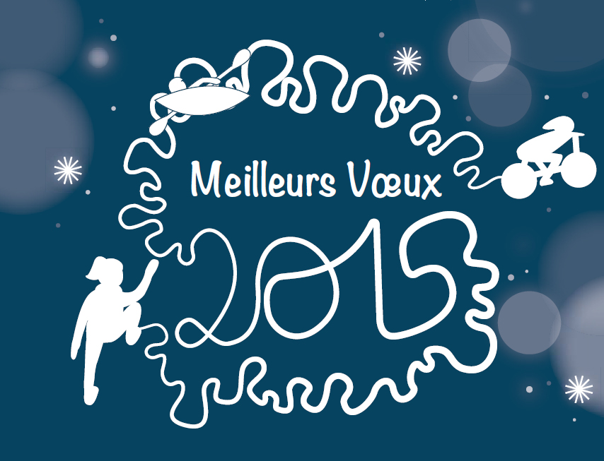 voeux2015